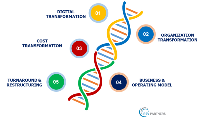 What Is Business Transformation? | REV Partners | Management Consulting